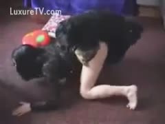 Into zoophilia, Brunette